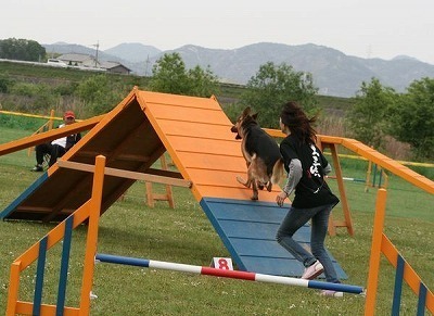2010.05.0920102.jpg