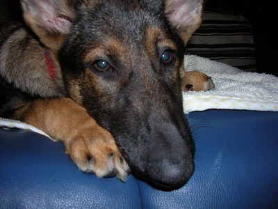 DSCN5084.jpg