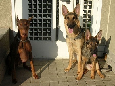 DSCN5332.jpg
