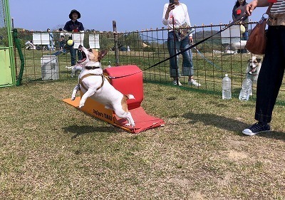 IMG_2325.jpg
