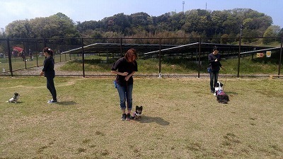 IMG_2339.jpg
