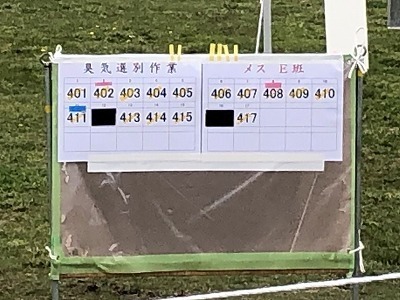 IMG_3649.jpg