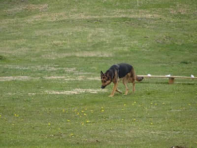IMG_3771.jpg
