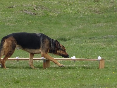 IMG_3785.jpg