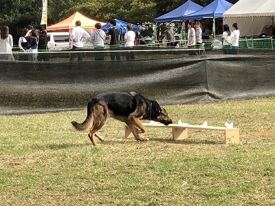 IMG_3958.jpg