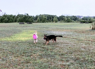 IMG_4970.jpg