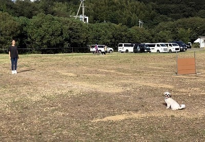 IMG_6725.jpg