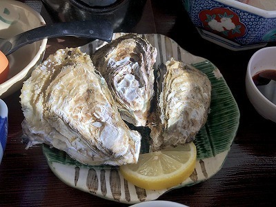 IMG_9110.jpg