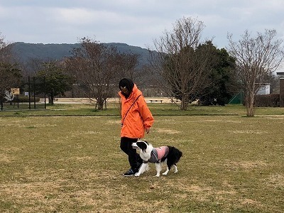 IMG_9950.jpg