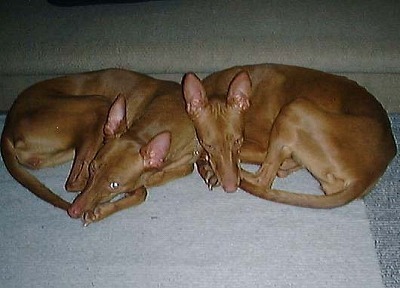 1209808903.jpg