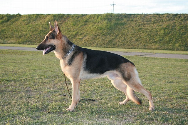 2009.10 11 008.jpg