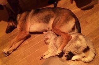 20102003.1220036-thumbnail2.jpg