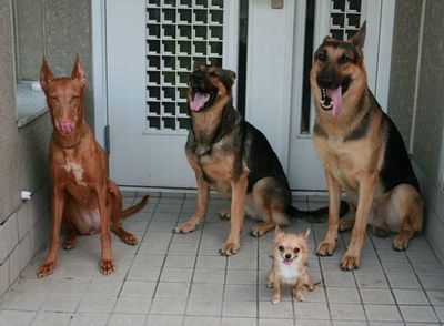 2010 08.15 038.jpg