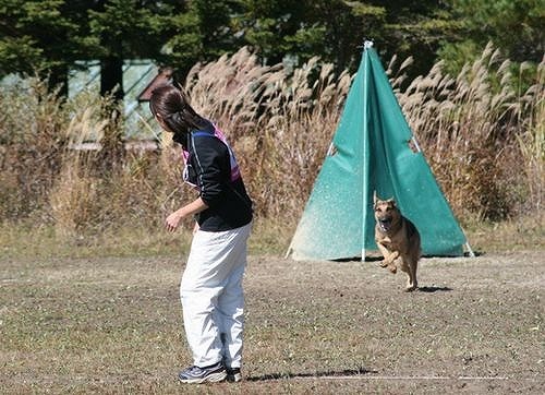 20112010_1620111.jpg