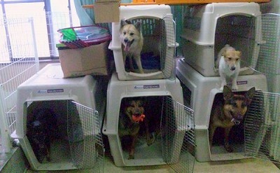2011204_0820017.jpg