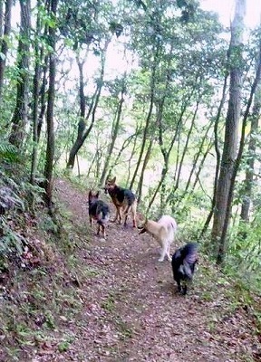 2011205_420008.jpg