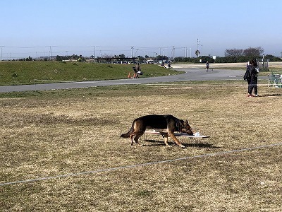 IMG_0034.jpg
