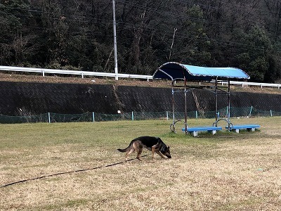 IMG_0319.jpg