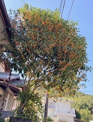 IMG_0489.jpg