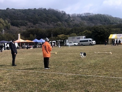 IMG_0525.jpg