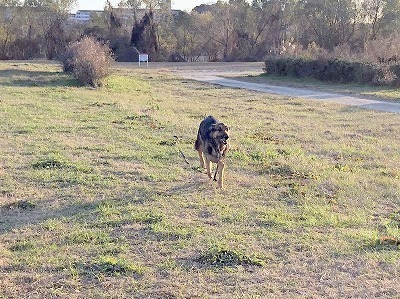 IMG_0600.jpg