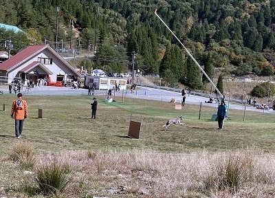 IMG_0783.jpg