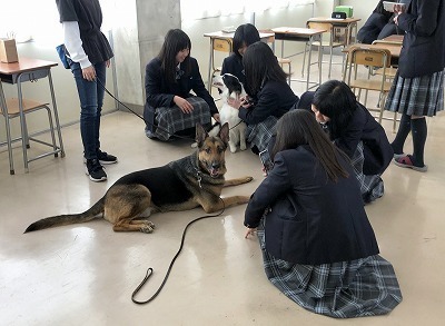 IMG_1175.jpg