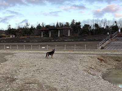 IMG_1255.jpg