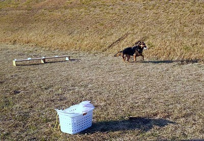 IMG_1365.jpg