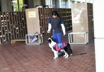 IMG_1584.jpg