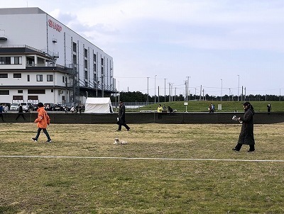 IMG_1686.jpg