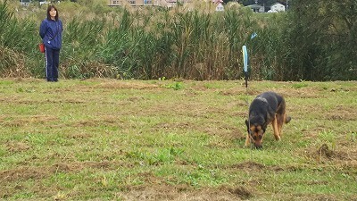 IMG_2073.jpg