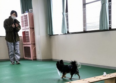 IMG_2588.jpg