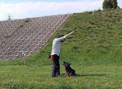 IMG_2716.jpg