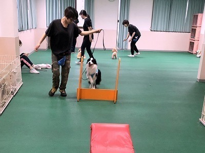 IMG_2746.jpg
