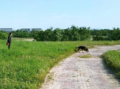 IMG_2791.jpg