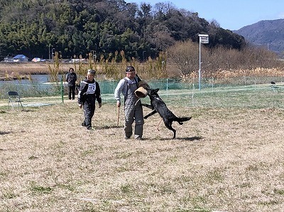 IMG_3194.jpg