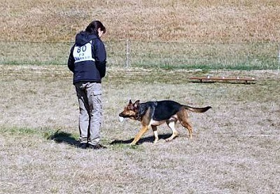 IMG_3237.jpg