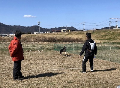IMG_3262.jpg