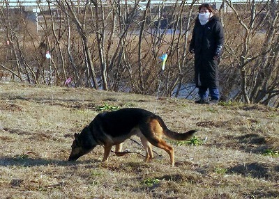 IMG_3797.jpg