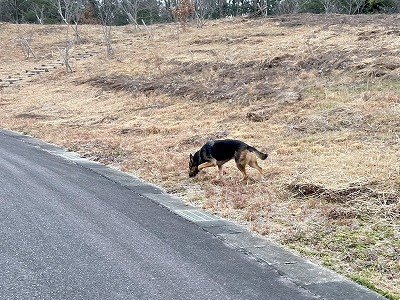 IMG_3876.jpg
