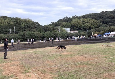 IMG_3936.jpg