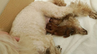 IMG_4050.jpg
