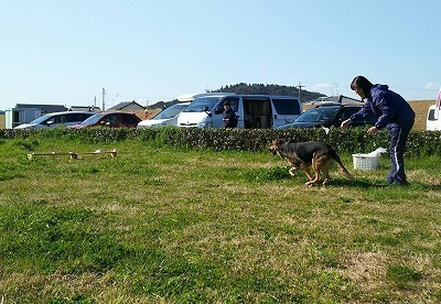 IMG_4302.jpg