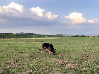 IMG_4870.jpg