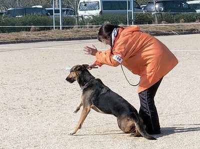 IMG_5099.jpg