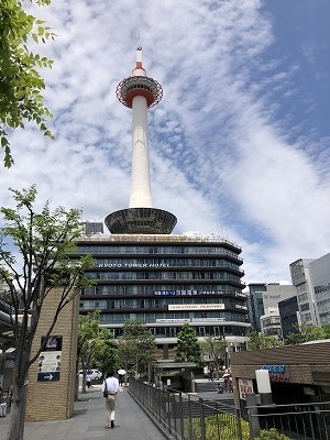 IMG_5133.jpg