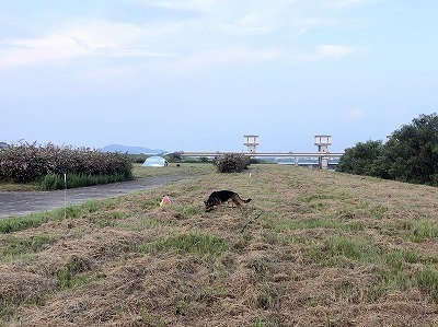 IMG_5528.jpg