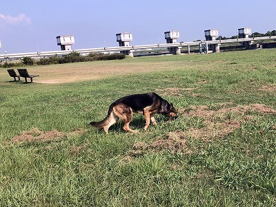 IMG_5796.jpg