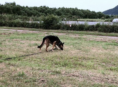 IMG_6382.jpg